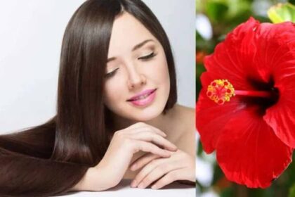 ब्यूटी रूटीन में गुड़हल क्यों है ज़रूरी? जानें स्किन और बालों के बेहतरीन लाभ