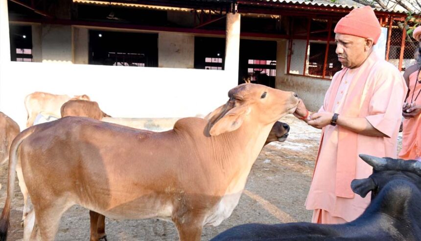 नामों से पुकार कर, स्नेहिल थपकी देकर गायों-गोवंश को खूब दुलारा मुख्यमंत्री ने