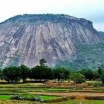 प्रकृति और आध्यात्म का संगम: जशपुर के चाय बागान व सोगड़ा आश्रम बना रहे खास पहचान