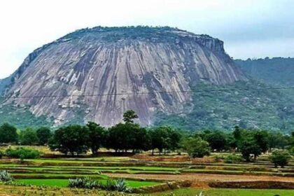 प्रकृति और आध्यात्म का संगम: जशपुर के चाय बागान व सोगड़ा आश्रम बना रहे खास पहचान