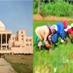 16 लाख किसानों ने किया 2 लाख 16 हजार हेक्टेयर रकबा समर्पण: मंत्री बघेल