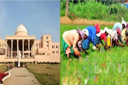 16 लाख किसानों ने किया 2 लाख 16 हजार हेक्टेयर रकबा समर्पण: मंत्री बघेल