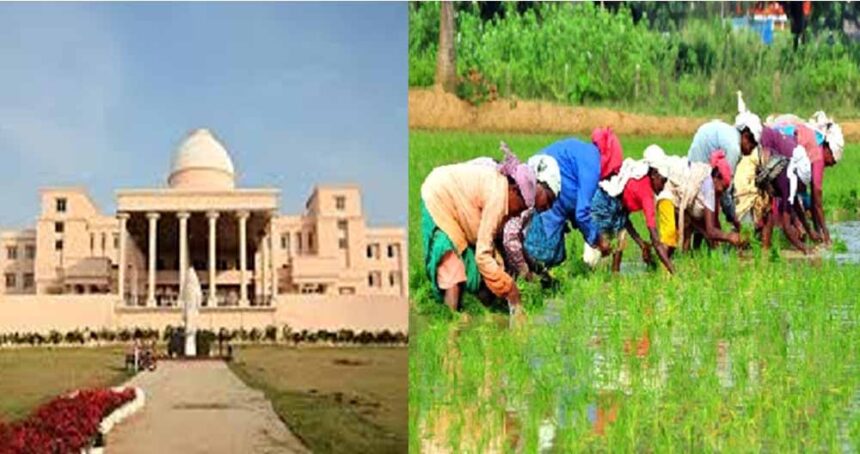 16 लाख किसानों ने किया 2 लाख 16 हजार हेक्टेयर रकबा समर्पण: मंत्री बघेल