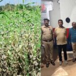 अफीम की खेती वाले ‘दाऊजी’ से शमशान जाने की भी लेते थे परमिशन