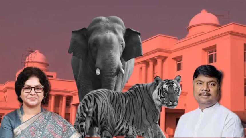 छत्तीसगढ़ में तीन सालों में हुई 9 बाघ और 38 हाथियों की मौत