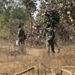 सुरक्षा एजेंसियों के खौफ से बस्तर में नक्सलियों के TCOC पर सन्नाटा