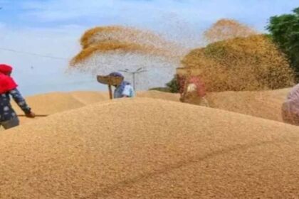 हरियाणा सरकार ने गेहूं की 160 रुपये प्रति क्विंटल बढ़ाई MSP