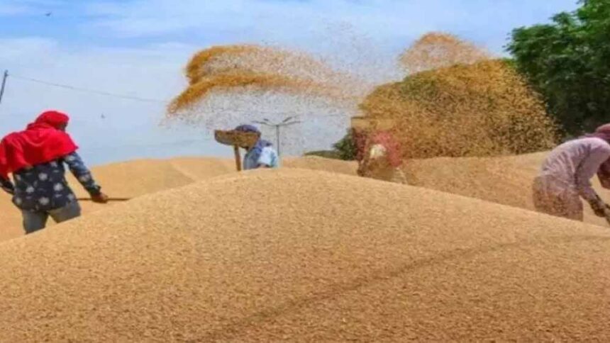 हरियाणा सरकार ने गेहूं की 160 रुपये प्रति क्विंटल बढ़ाई MSP