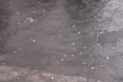 बदनावर में भीषण ओलावृष्टि, आधे घंटे में किसानों की फसल चौपट