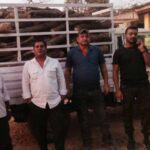 अवैध परिवहन करते पिकअप वाहन जप्त