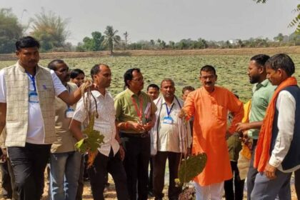 मखाना खेती की नई तकनीक सीखने पहुंचे MP के किसान, लिंगाडीह में हुआ प्रशिक्षण