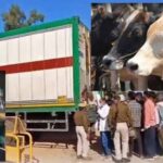 बीफ कांड में SIT ने 56 दिन बाद कोर्ट में चालान किया पेश