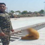 निवाड़ी के डायल 112 हीरोज: सतर्कता और समझाइशदेकर आत्‍महत्‍या के उद्देश्‍य से रेल