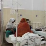 देसी इलाज बना खतरा: पन्ना में धतूरे का काढ़ा पीने से परिवार के 3 सदस्य अस्पताल प