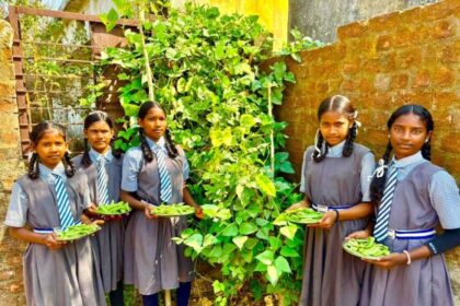 स्कूल गार्डन बना पोषण का आधार, छात्रों को मिल रही हरी-भरी सेहत