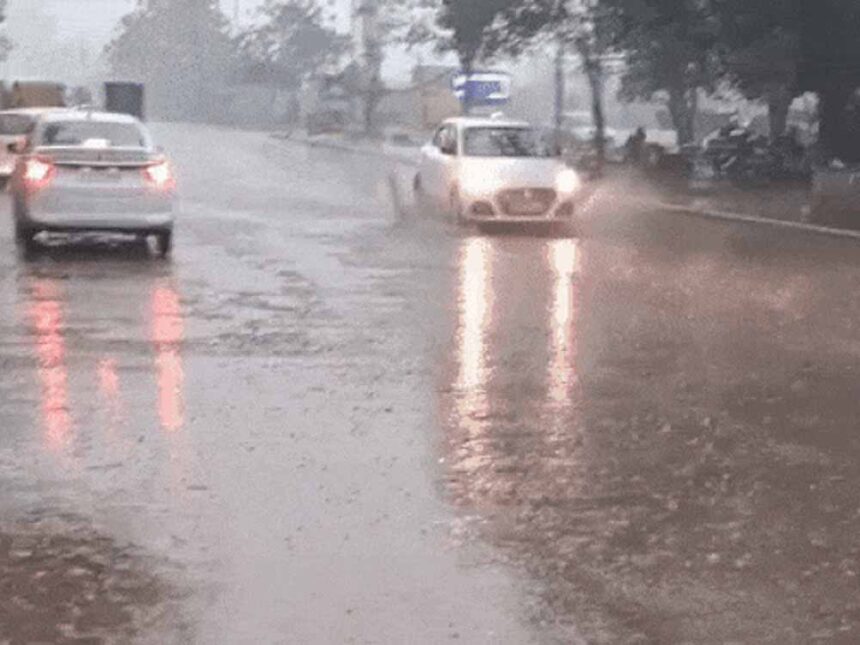 Rain Alert Punjab: ठंडी हवाओं के साथ बदला मौसम, 14 मार्च को जालंधर-पठानकोट में ब