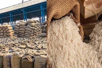 पंजाब में निर्यातकों के तीन लाख टन बासमती के निर्यात पर संकट