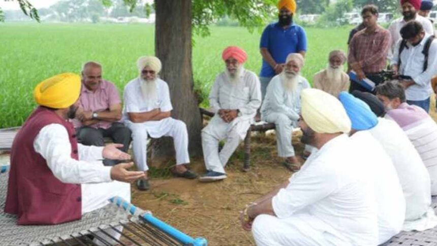 किसानों पर प्रयोग से बचें: CM मान बोले—पहले खुद जांचें, फिर खेतों में लागू करें