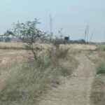 खेत में घुसा तेंदुआ हुआ बेकाबू, दौड़ते हुए पुलिसकर्मी पर हमला, मचा हड़कंप