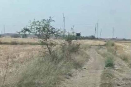 खेत में घुसा तेंदुआ हुआ बेकाबू, दौड़ते हुए पुलिसकर्मी पर हमला, मचा हड़कंप