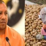 यूपी के किसानों से ₹1500 प्रति क्विंटल में होगी आलू खरीदी!