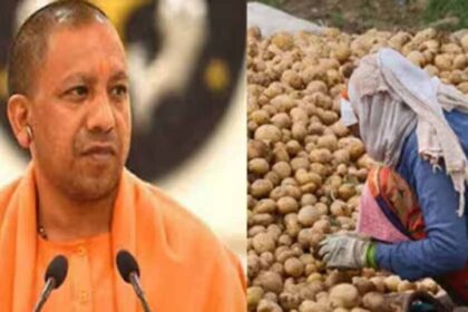 यूपी के किसानों से ₹1500 प्रति क्विंटल में होगी आलू खरीदी!
