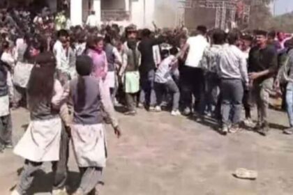 रंगों के बीच दहशत: विश्वविद्यालय में मधुमक्खियों ने विद्यार्थियों पर बोला हमला