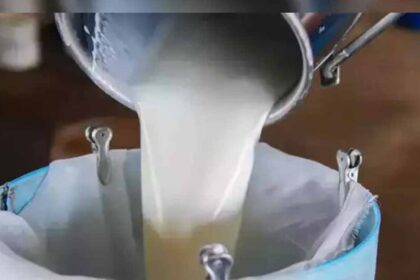FSSAI की रिपोर्ट ने चौंकाया, दूध में यूरिया, डिटर्जेंट और पानी मिलाने वाले टॉप ड