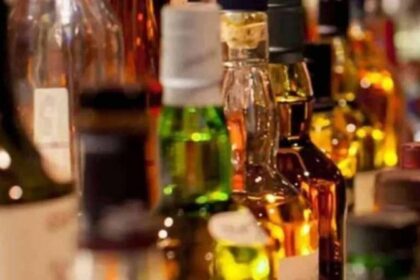 पंजाब में शराब ठेकों की बंपर बोली, मानसा जिले में 204 करोड़ का आंकड़ा पार