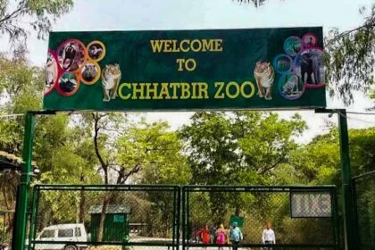 Tourist सावधान! छतबीड़ चिड़ियाघर में अब नहीं चलेगी मनमानी, जंगलात विभाग ने कसे न